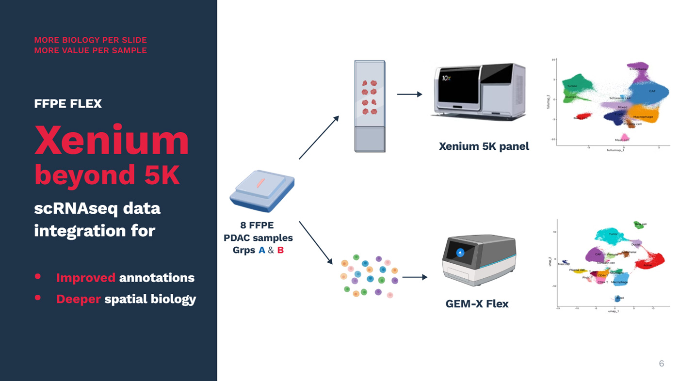 Explicyte Immuno-Oncology I Cancer Immunotherapy CRO Services Xenium beyond 5K integration scRNAseq