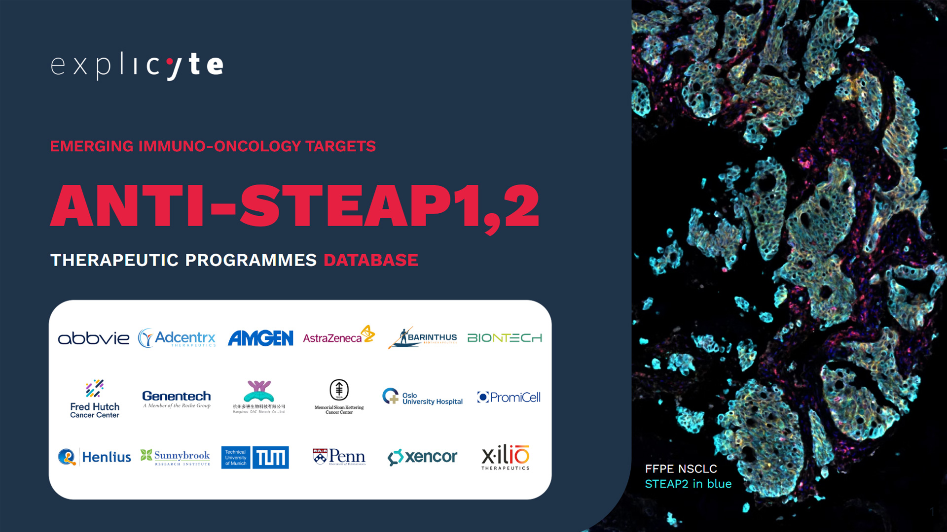 Anti-STEAP1/2 Therapeutic Programmes Database – 2026 Edition Free-access database of anti-STEAP1 and STEAP2 oncology programmes in preclinical and clinical development. 2026 edition by Explicyte