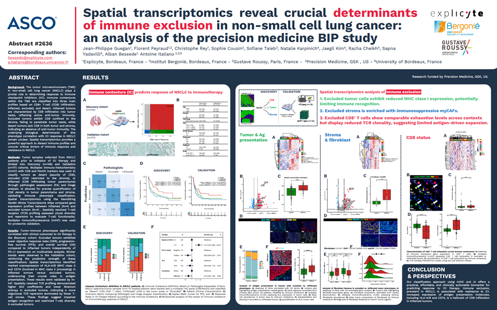 Spatial transcriptomics reveal crucial determinants of immune exclusion in non-small cell lung cancer: an analysis of the precision medicine BIP study