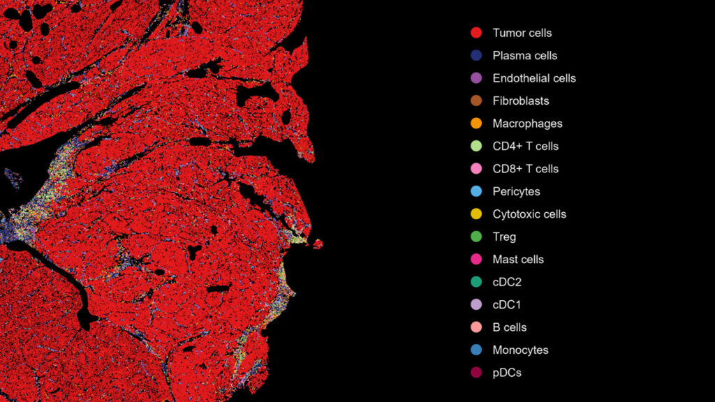 Transcriptomic biomarker analysis clinical trials oncology CRO services