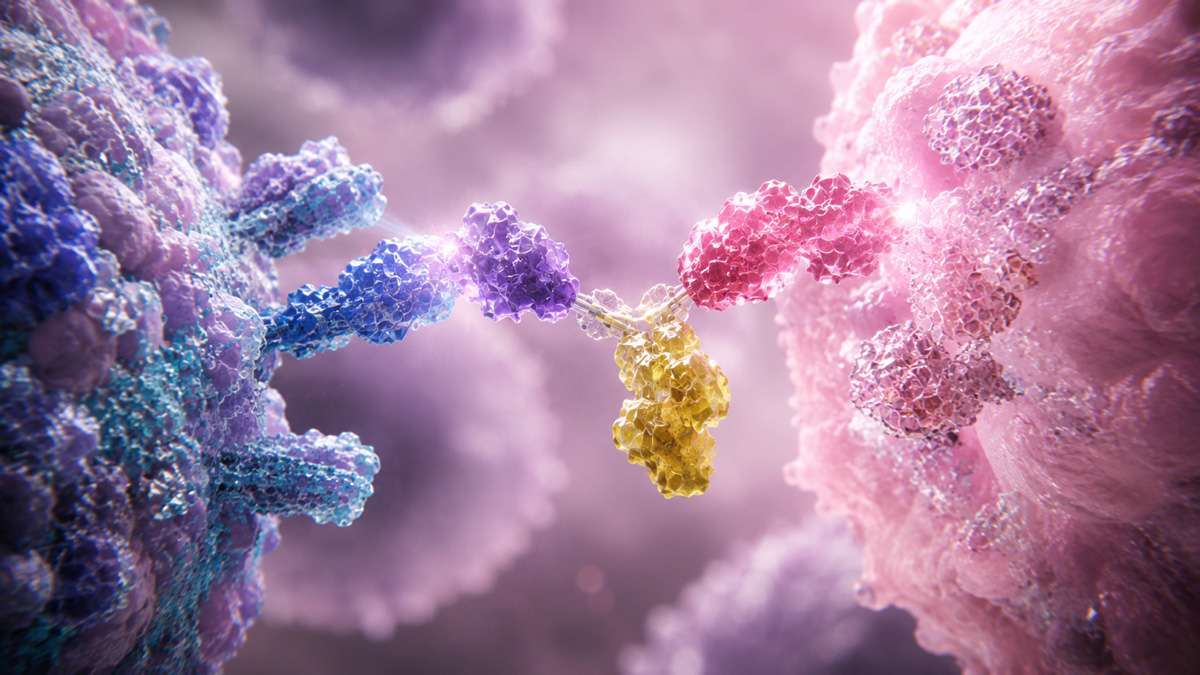 Multispecifics & Immune Cell Engagers