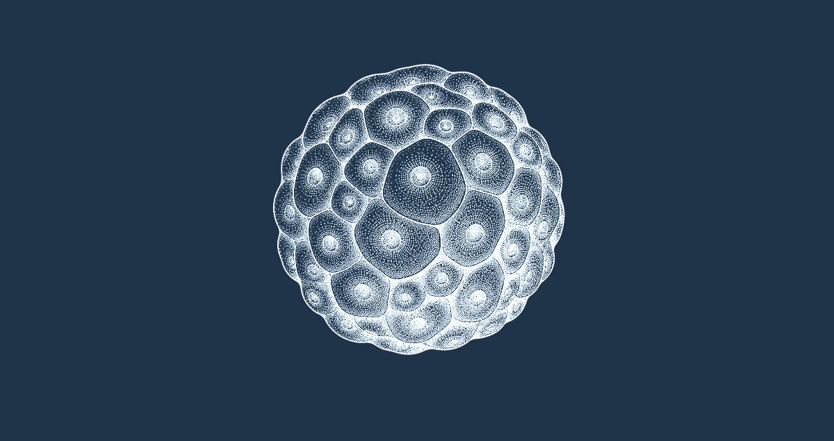 patient-derived 3D tumor models organoids fragments oncology CRO services