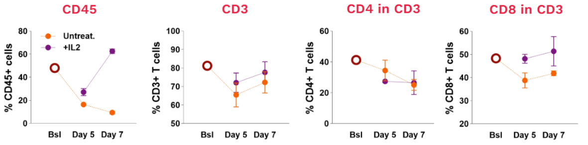 Immune-containing TNBC PDTOs retain a measurable fraction of T cells relative to the parent tumor, with IL2-sustained CD8 persistence through day 7