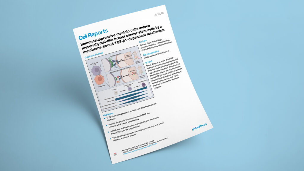 How a CD52⁺ myeloid subset drives mesenchymal breast cancer stemness through membrane-bound TGF-β1