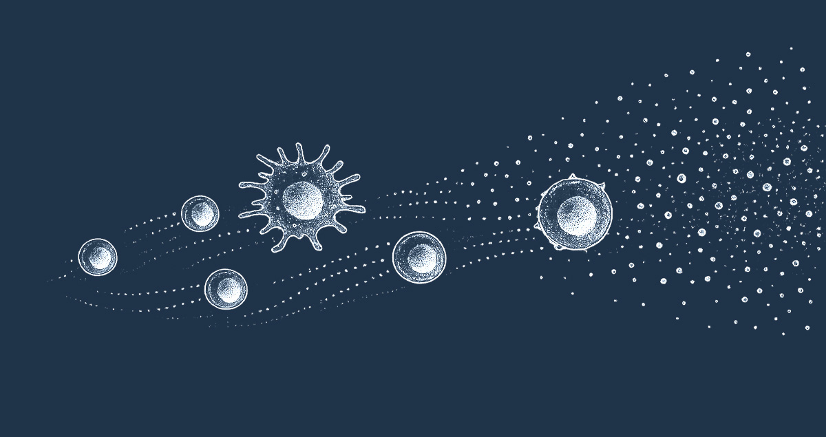 Cell migration and chemotaxis assays for immune and tumor cells