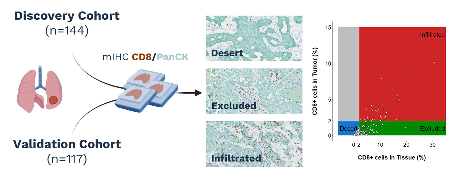 immune contexture IHC panel cd8 panck