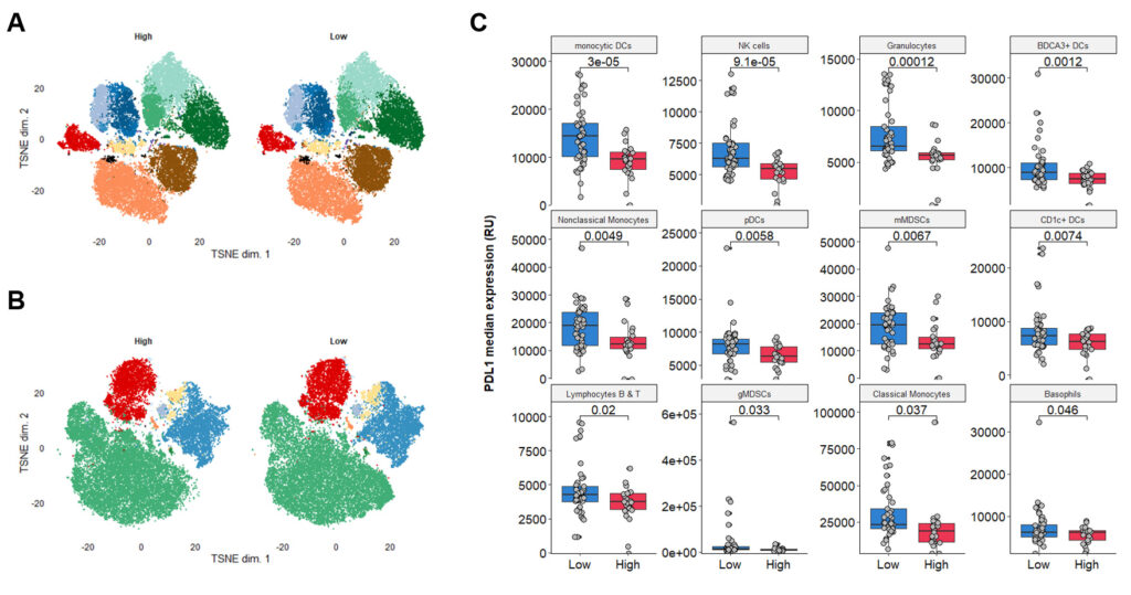 PBMC immune profiling links plasma arginine to ICI outcome