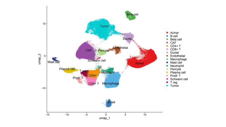 cell-type annotation from a Chromium X single-cell RNA-seq dataset analyzed by Explicyte
