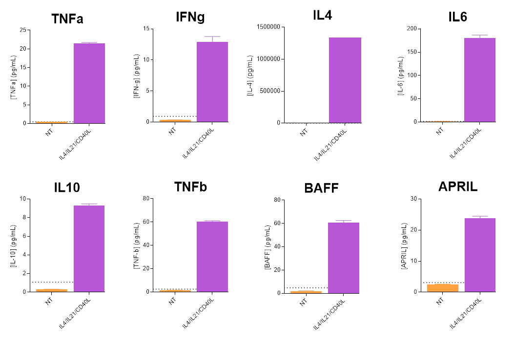 Cytokine profiling of activated human tonsil-derived memory B cells